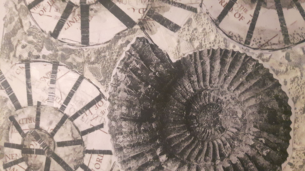 Design piece based on fossils.