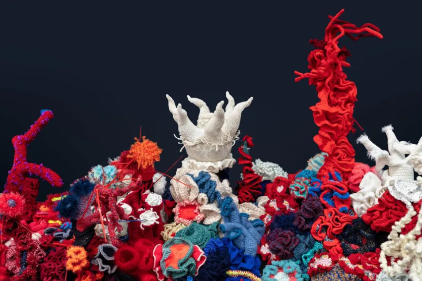 The Crochet Coral Reef Project created by the Wertheim sisters who are textile artists inspired by the Ocean.