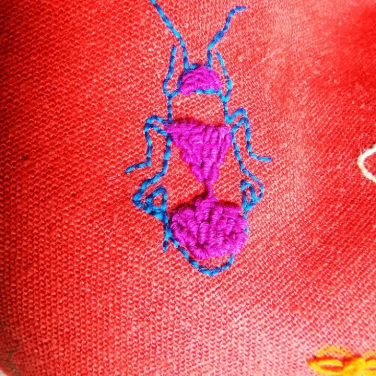 Delphine Delanlande's hand embroidery course work