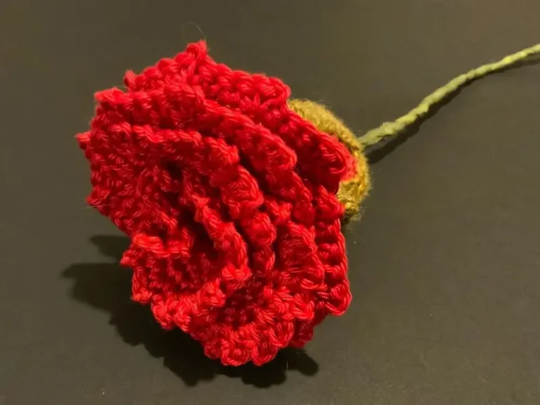 Crochet course work by Melissa Taylor