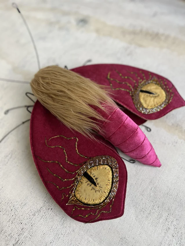 Dragon Eye Moth by Larysa Bernhardt