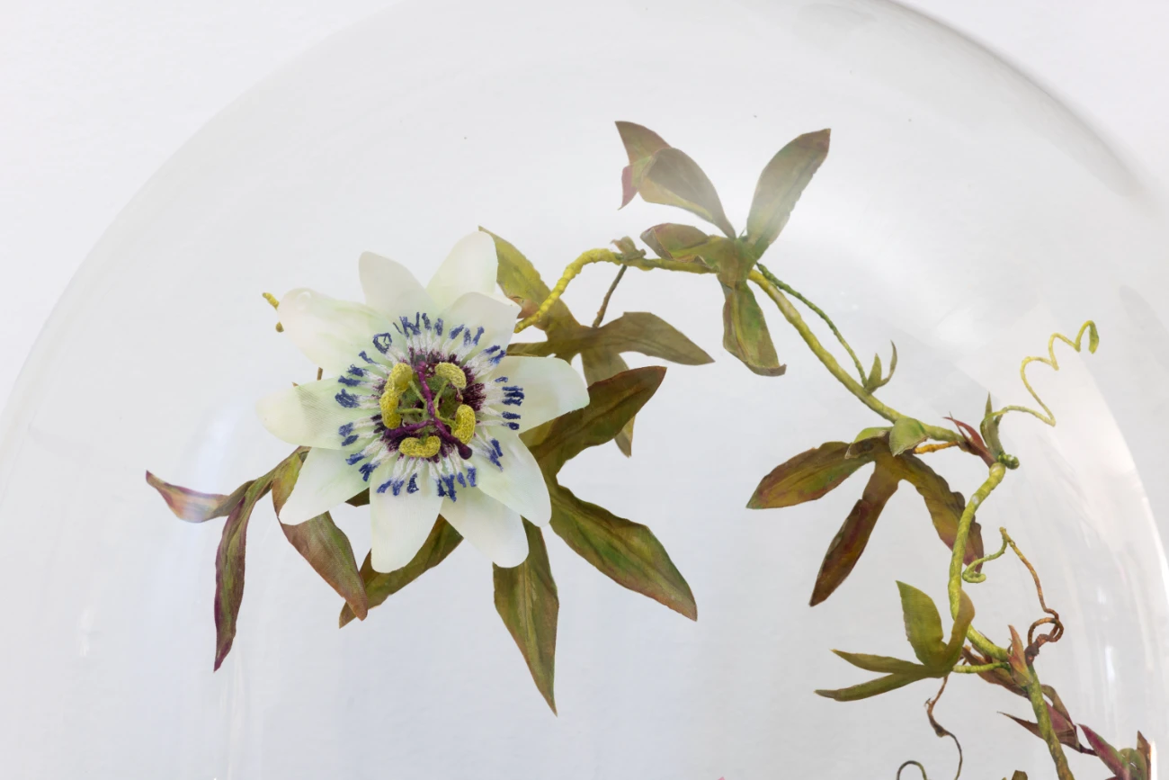 Textile Talk with Emma Rosa