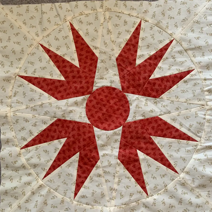 Applique quilt by Carolyn Forster