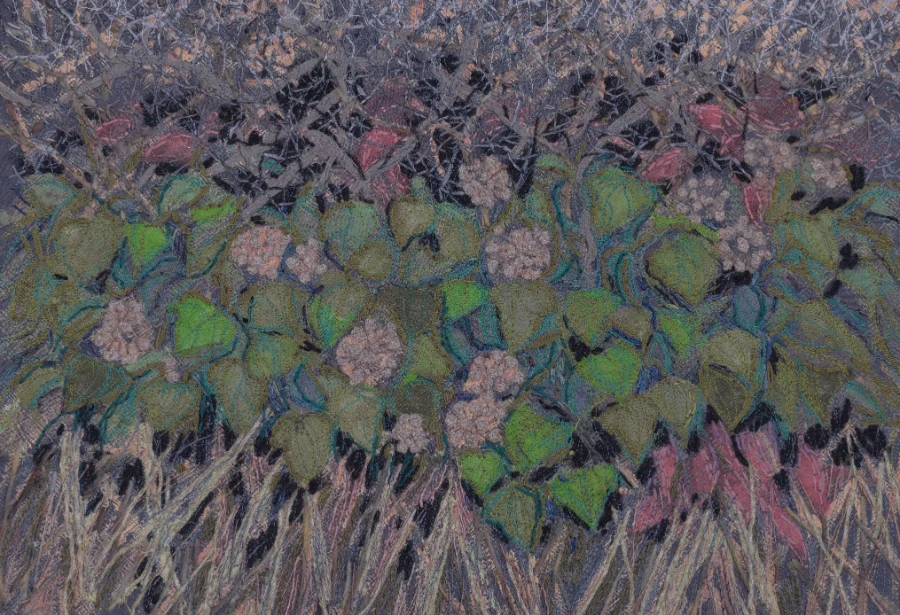 Quiet November, Jan Beaney