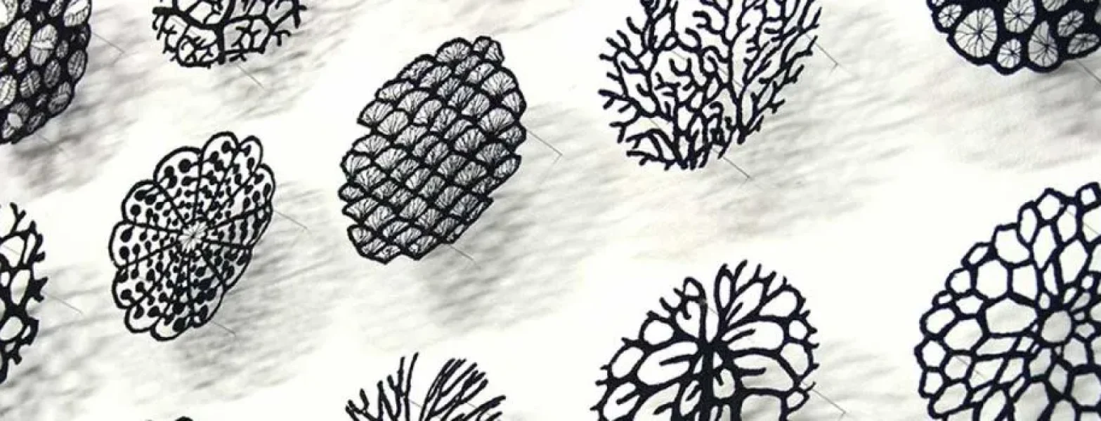 Meredith Woolnough interview with the School of Stitched Textiles